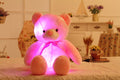 Urso Teddy Luminoso