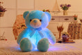 Urso Teddy Luminoso